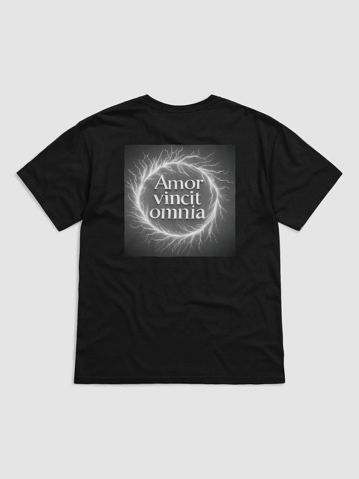 love conquers all (T shirt) product image (2)