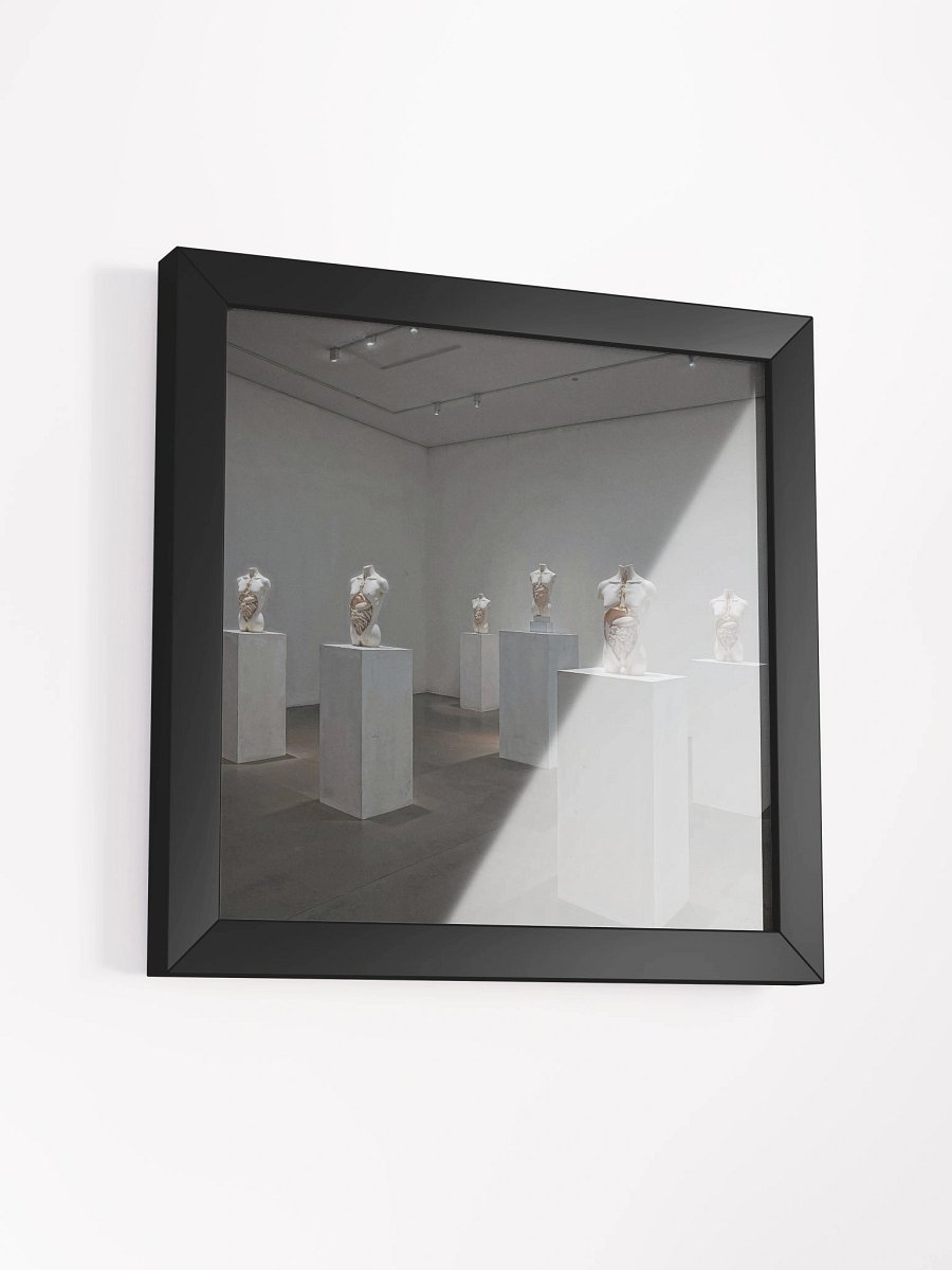 Anatomy of Silence Framed Print product image (12)