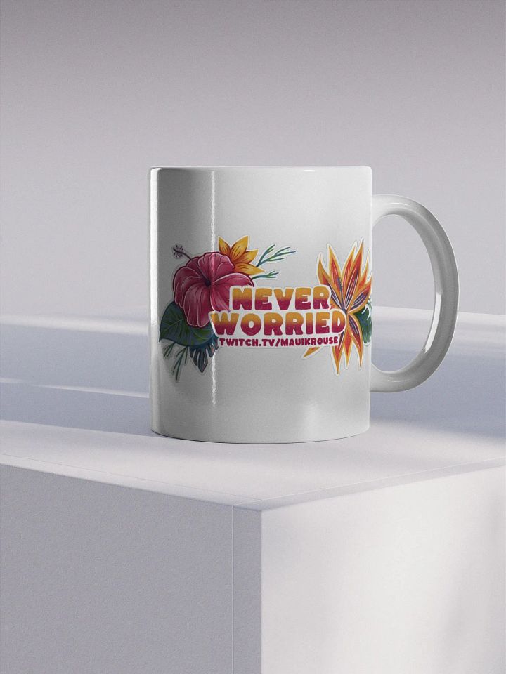 The Never Worried Mug product image (1)
