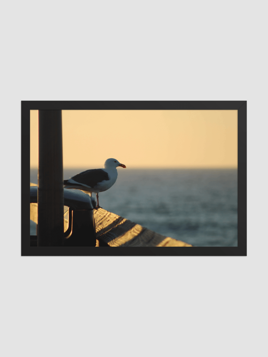 Seagull landing Framed photography Poster product image (2)
