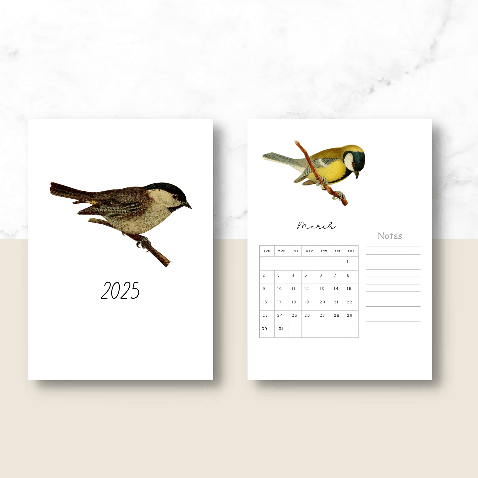 2025-2026 PDF Calendar: American Birds product image (3)