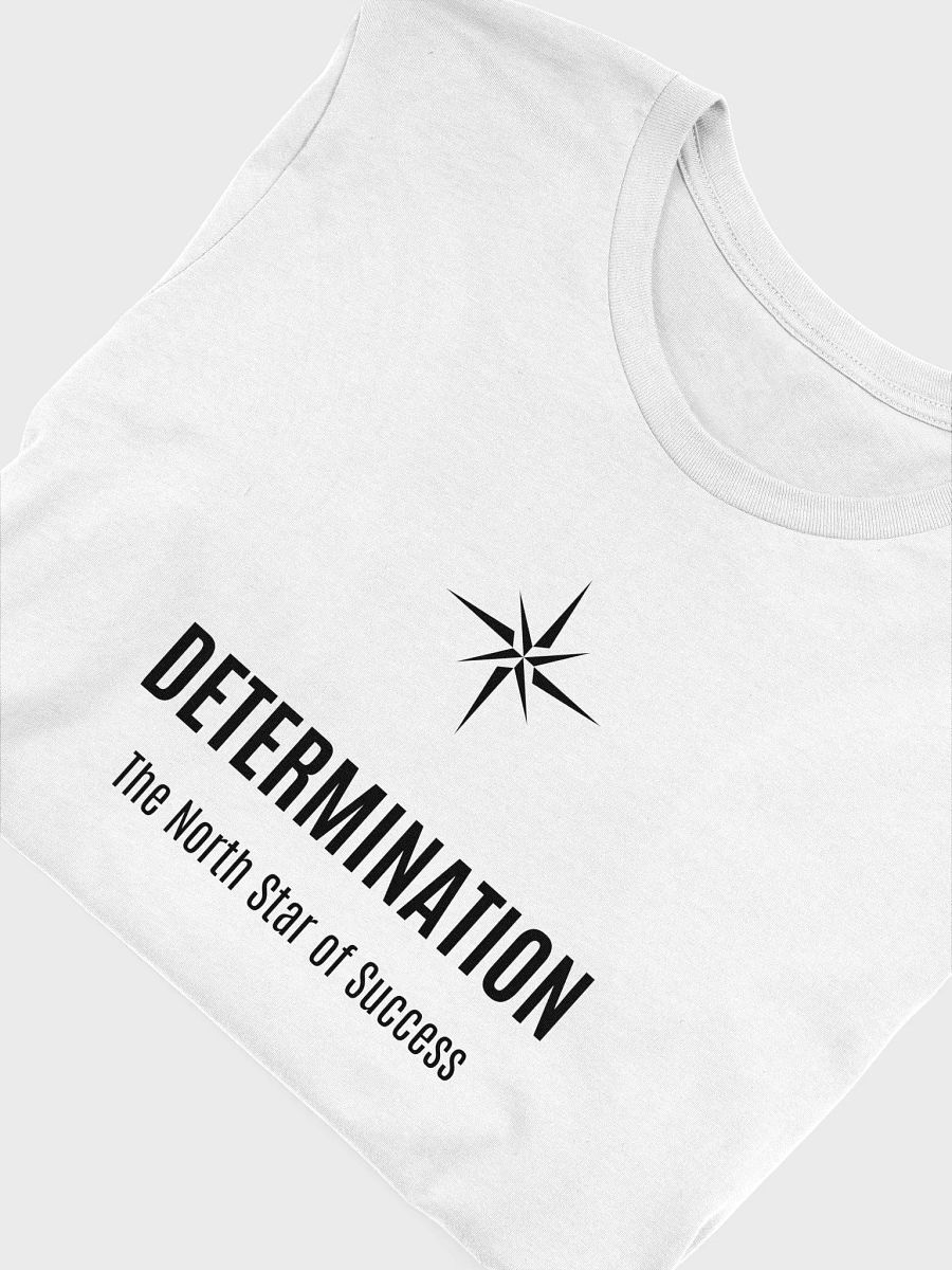 Determination: The North Star of Success product image (50)
