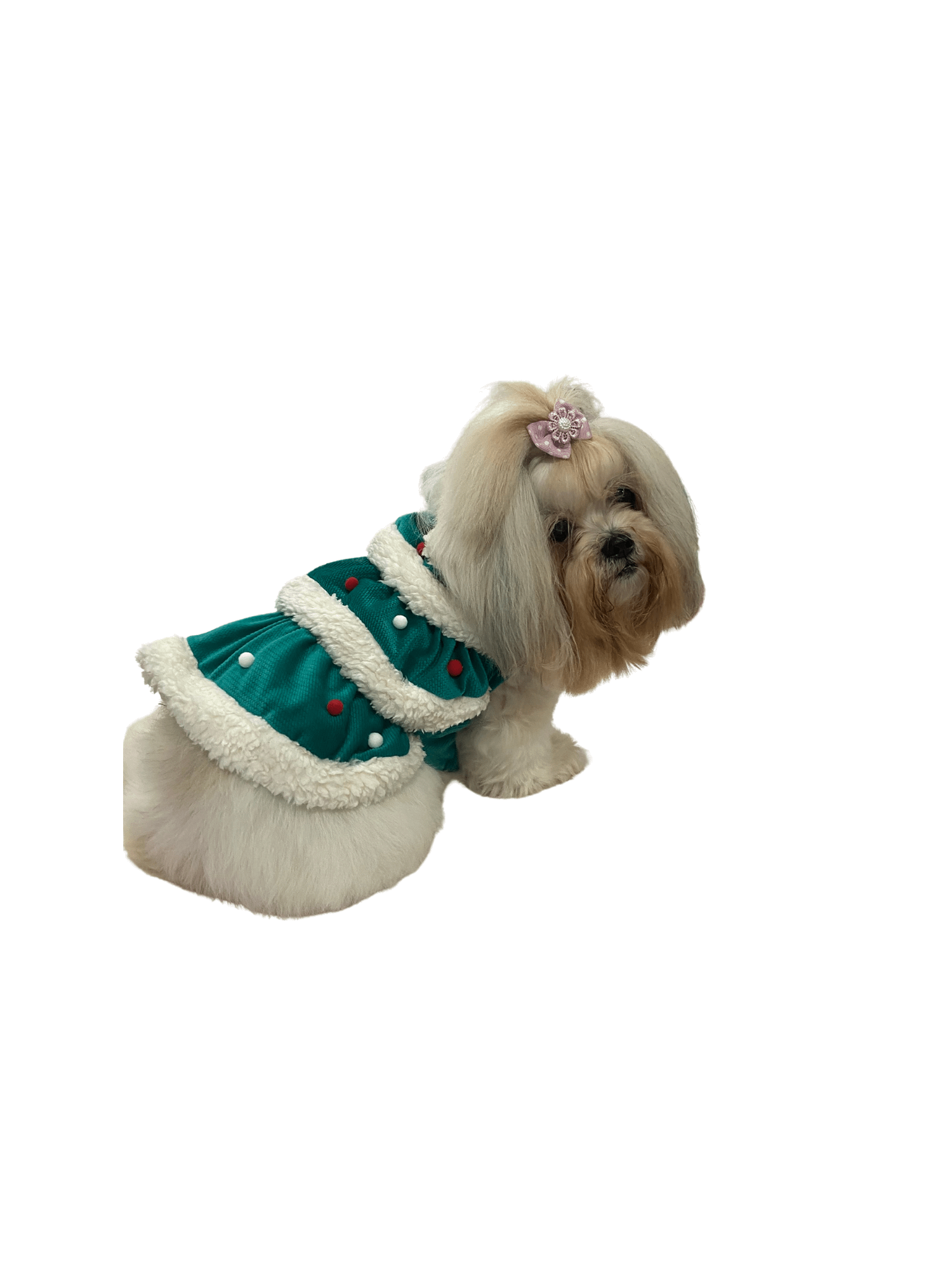 Vestido Pet Árvore Encantada - Modelagem Pet PDF product image (3)