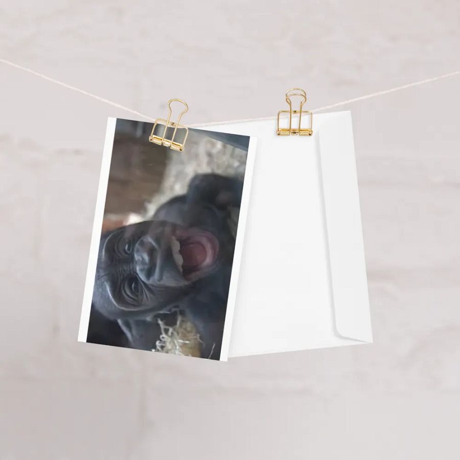 Curious Gorilla Greeting Card product image (10)