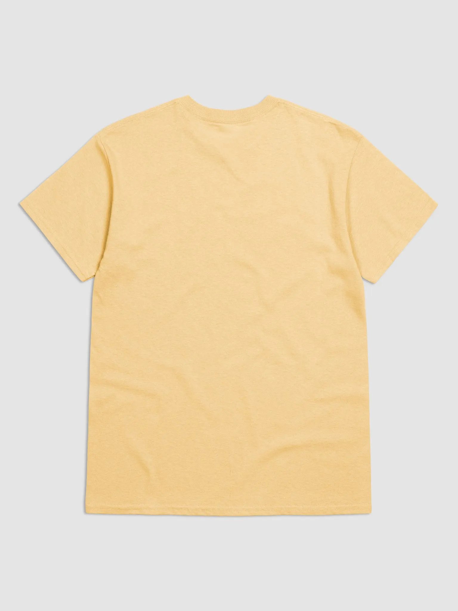 Alien feeding ducks, just trying to fit in, Streetwise Classic: Gildan Heavyweight Tee product image (2)