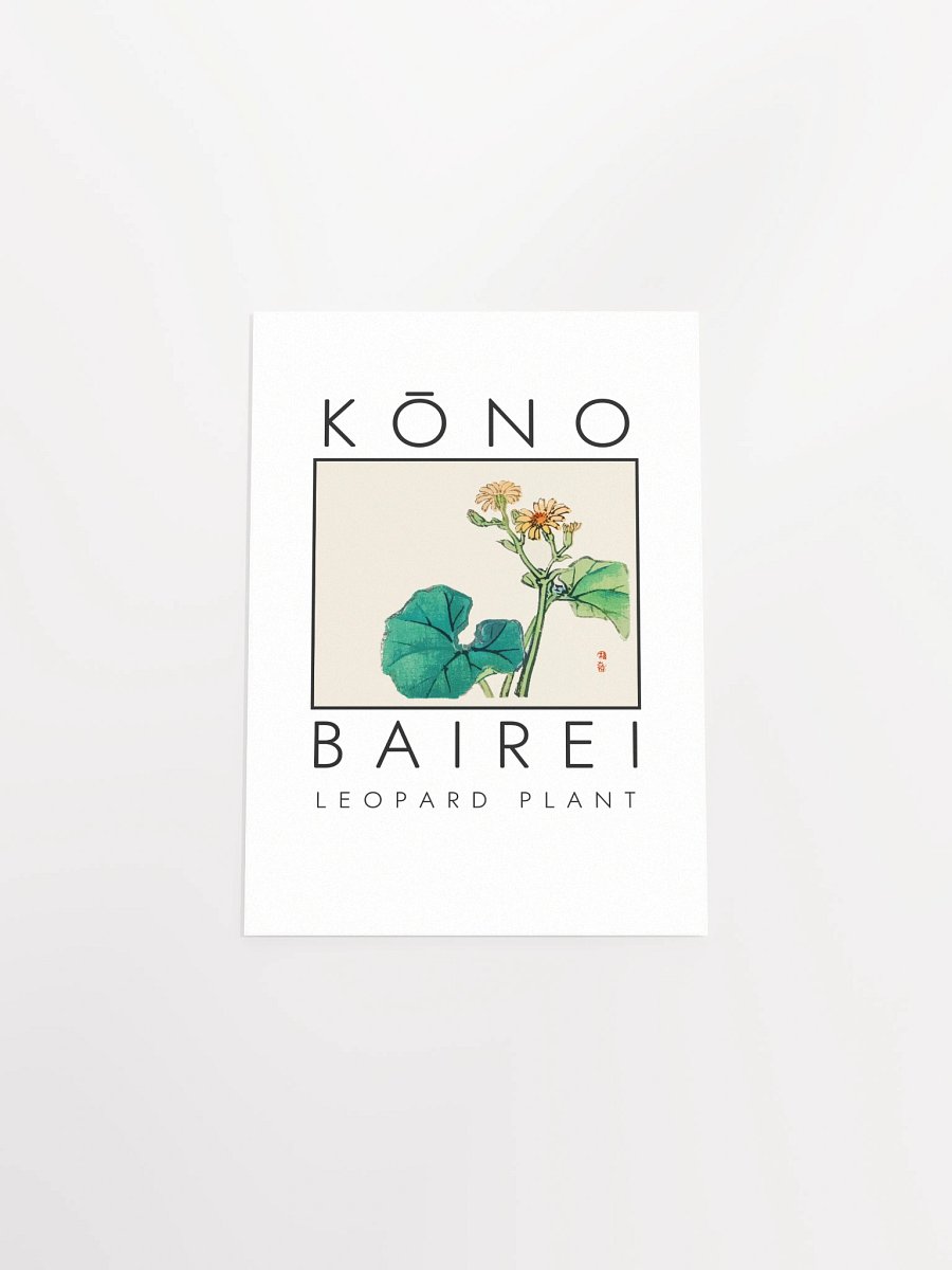 Kono Bairei Leopard Plant Poster product image (5)