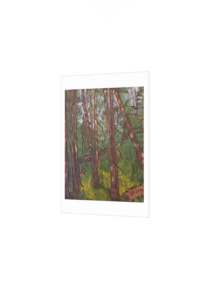 Chambers Lake Print product image (9)