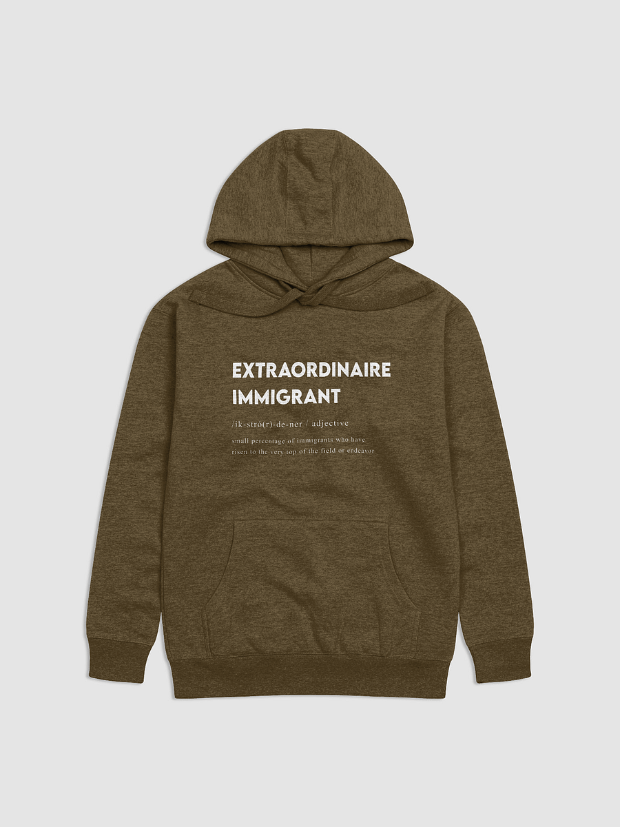 EXTRAORDINAIRE IMMIGRANT HOODIE BROWN product image (1)