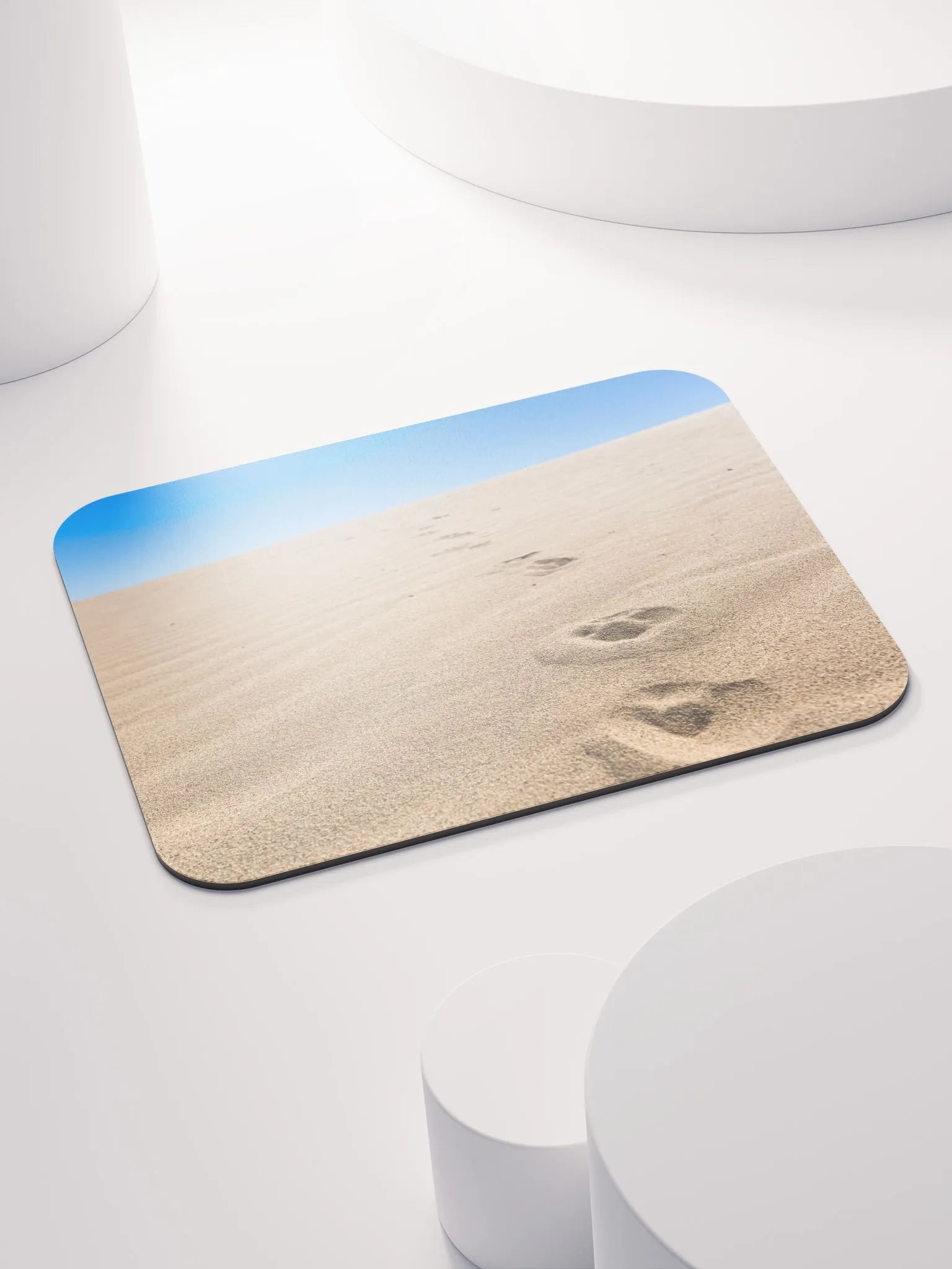 Salton Sea Coyote product image (4)