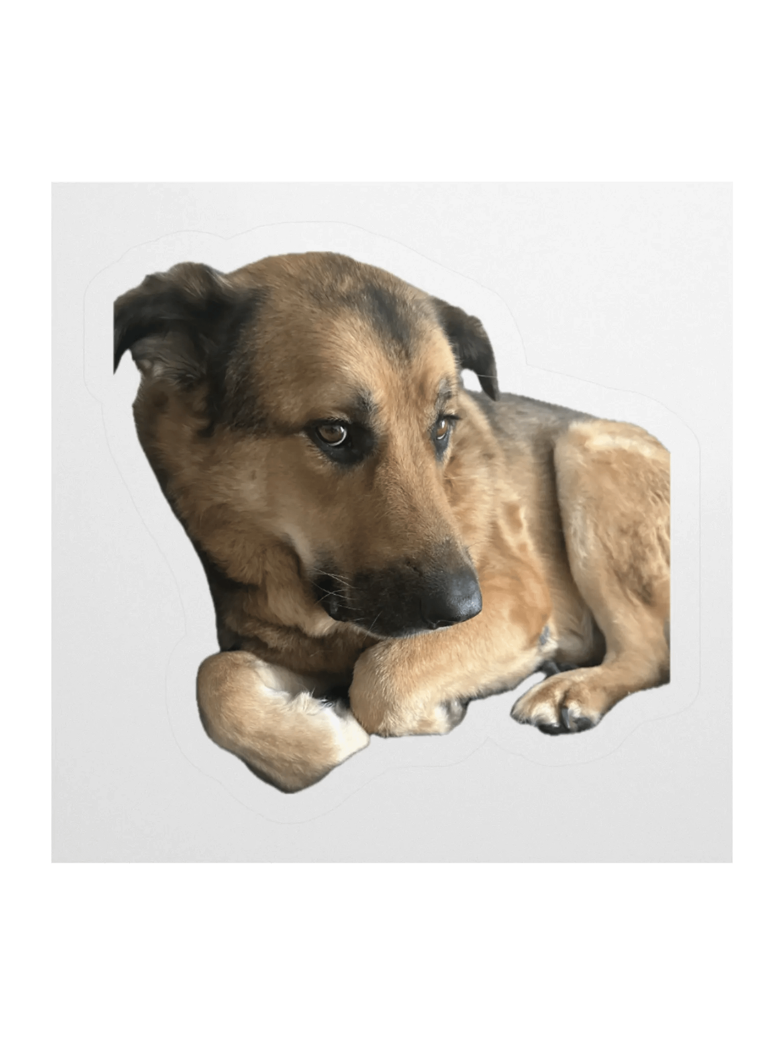 Charlie side eye stickies product image (3)