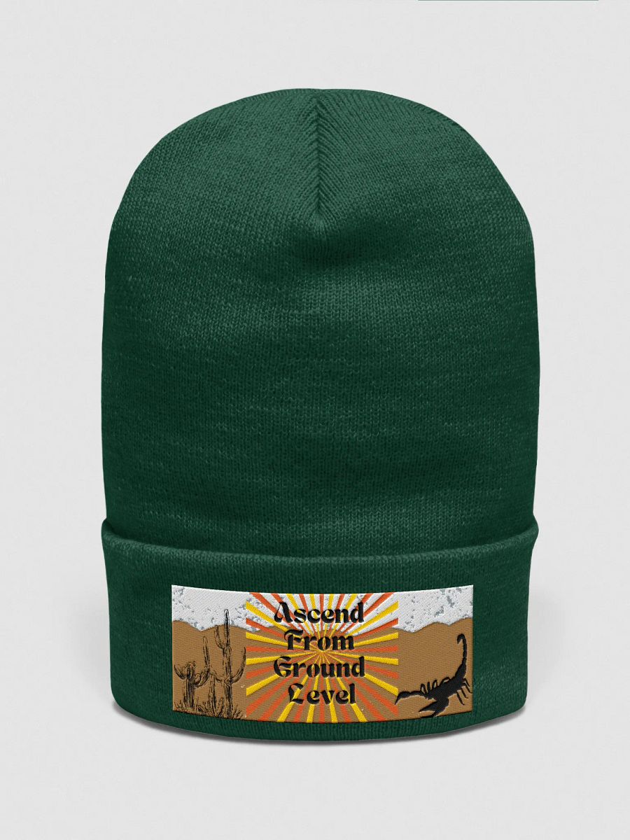 Ascension Themed Beanie product image (1)