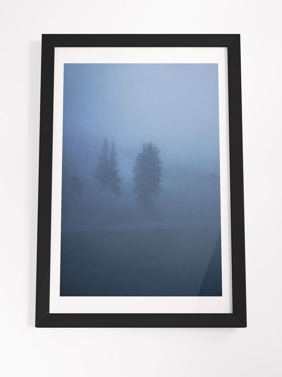 Foggy Trees product image (4)