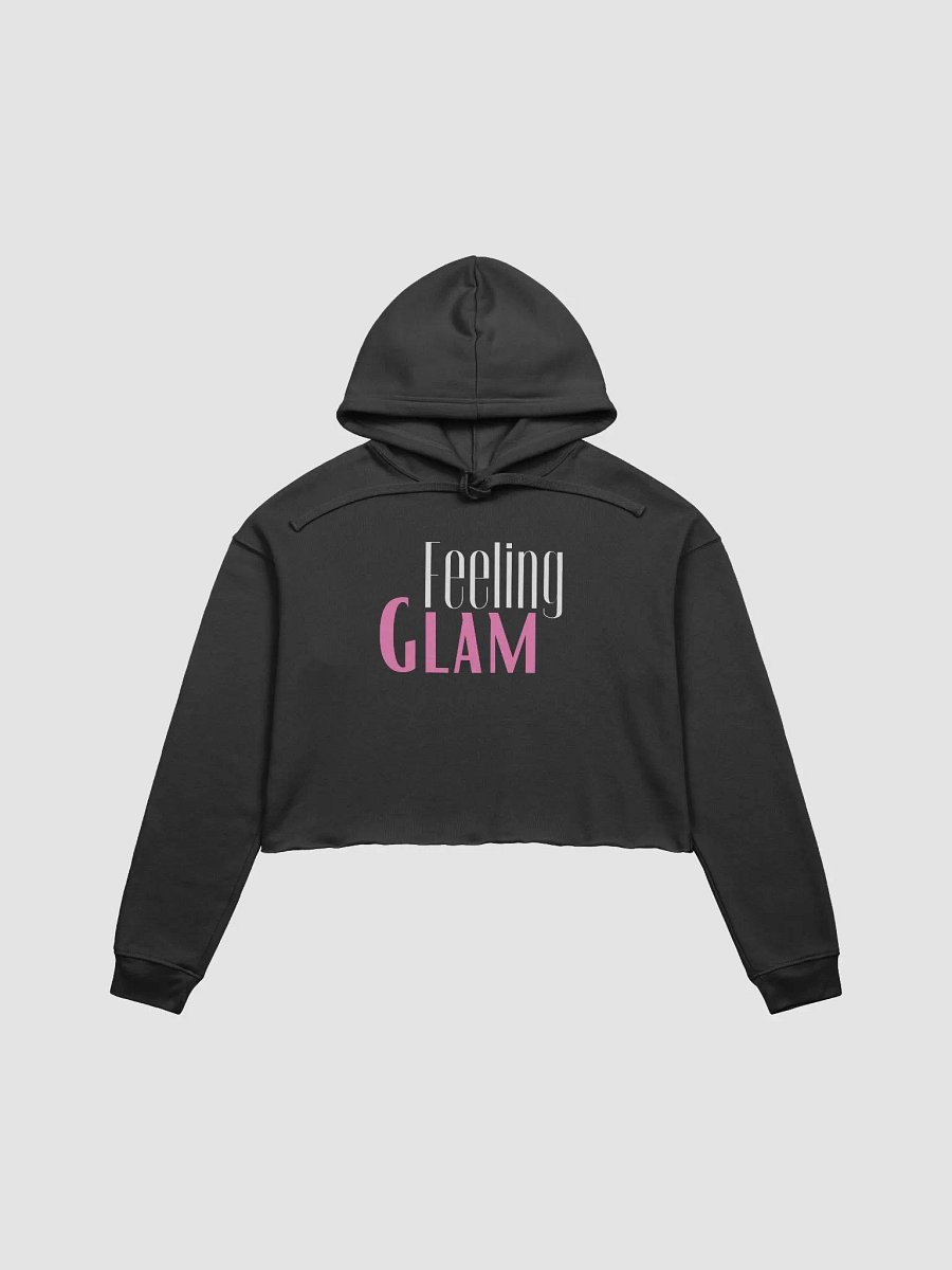 Feeling Glam Crop Sweater product image (3)
