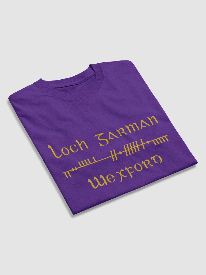 Wexford/Loch Garman Scholastic style Ogham purple printed T-shirt product image (2)