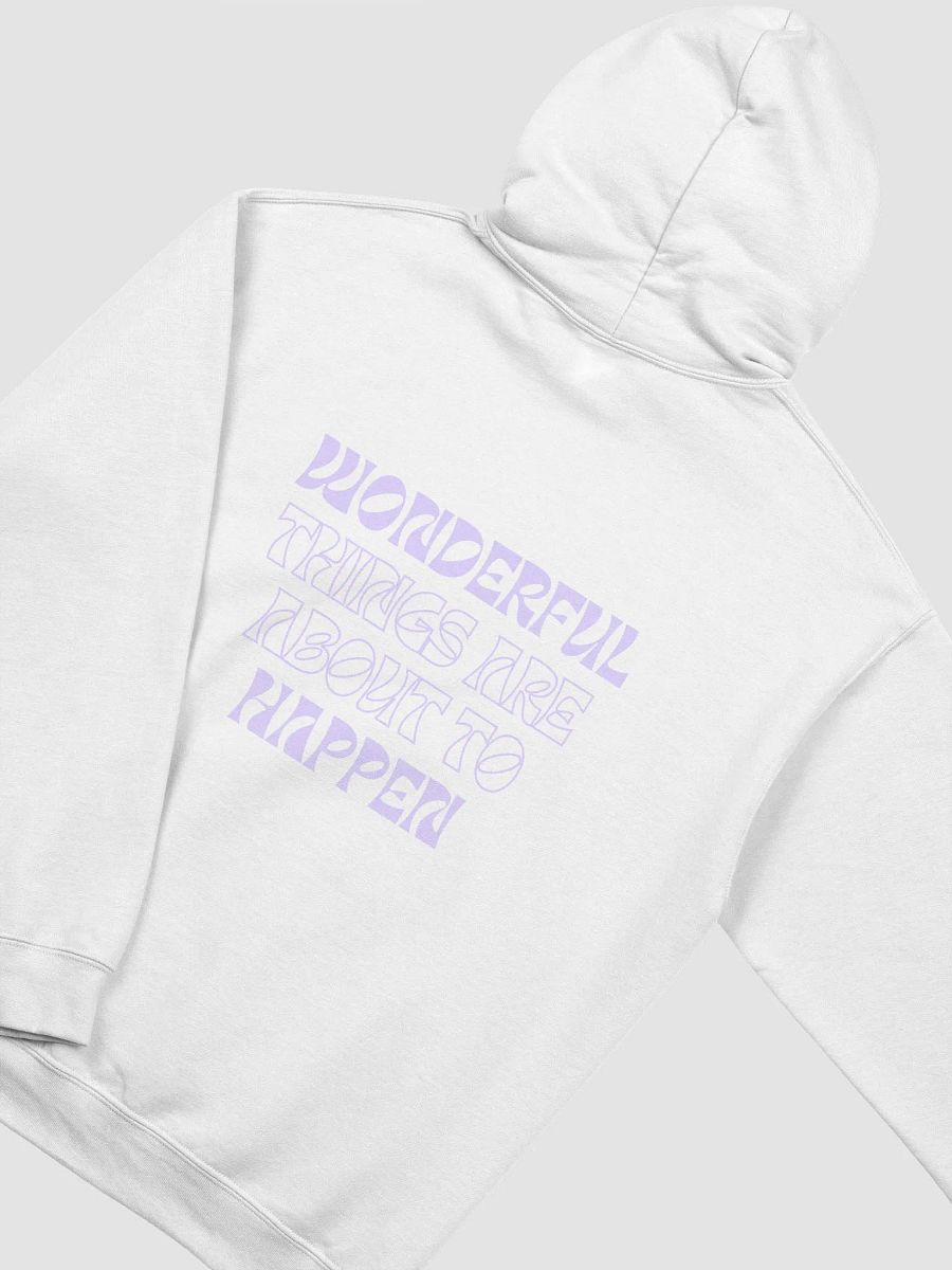 777 hoodie product image (8)