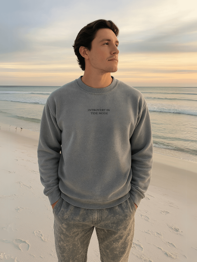 Introvert In Tide Mode Embroidered Sweatshirt product image (1)
