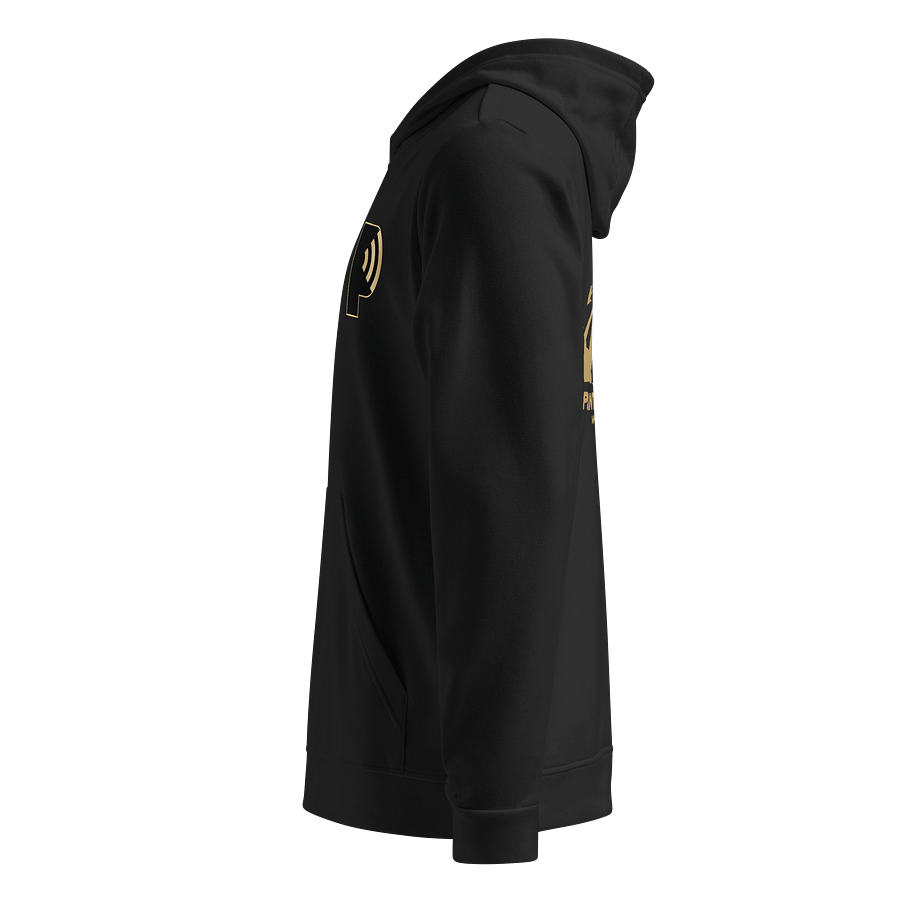 Pulse of Pantheon Hoodie product image (10)