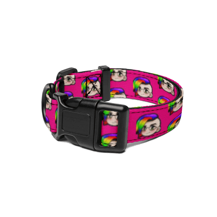 Hybrid Pride Collar (Pink) product image (1)