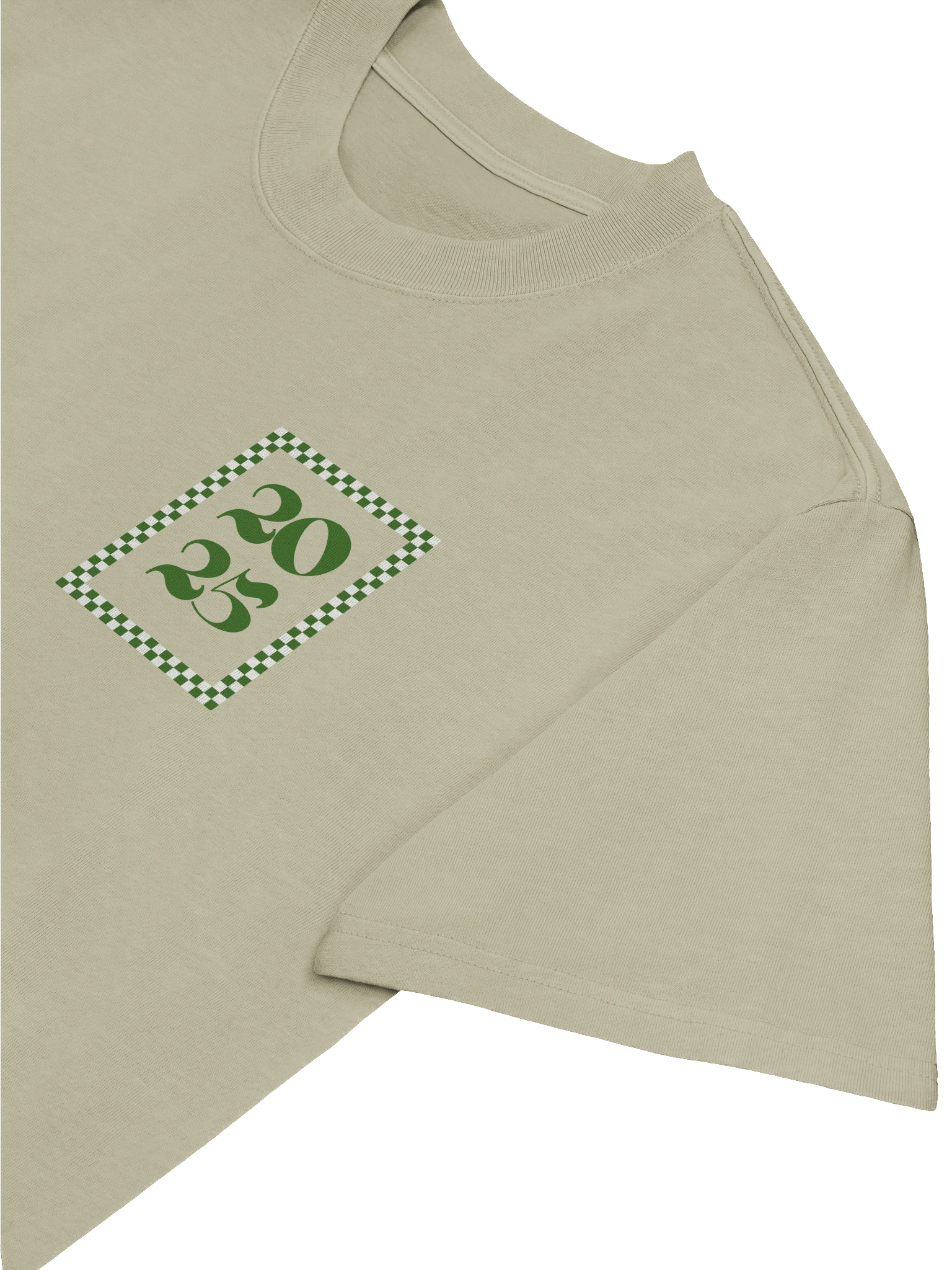 Homecoming Oversized Tee product image (5)