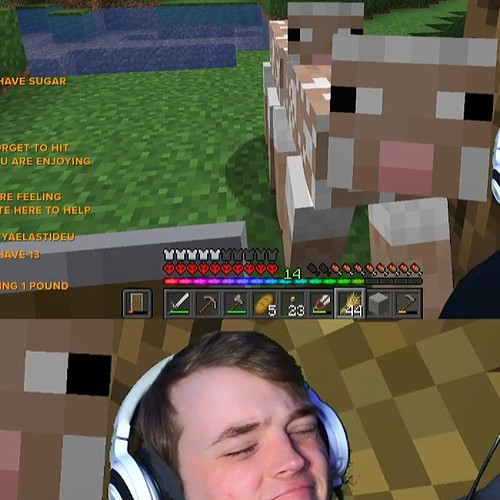 How else does one sheer a sheep? #twitch #minecraft #viral