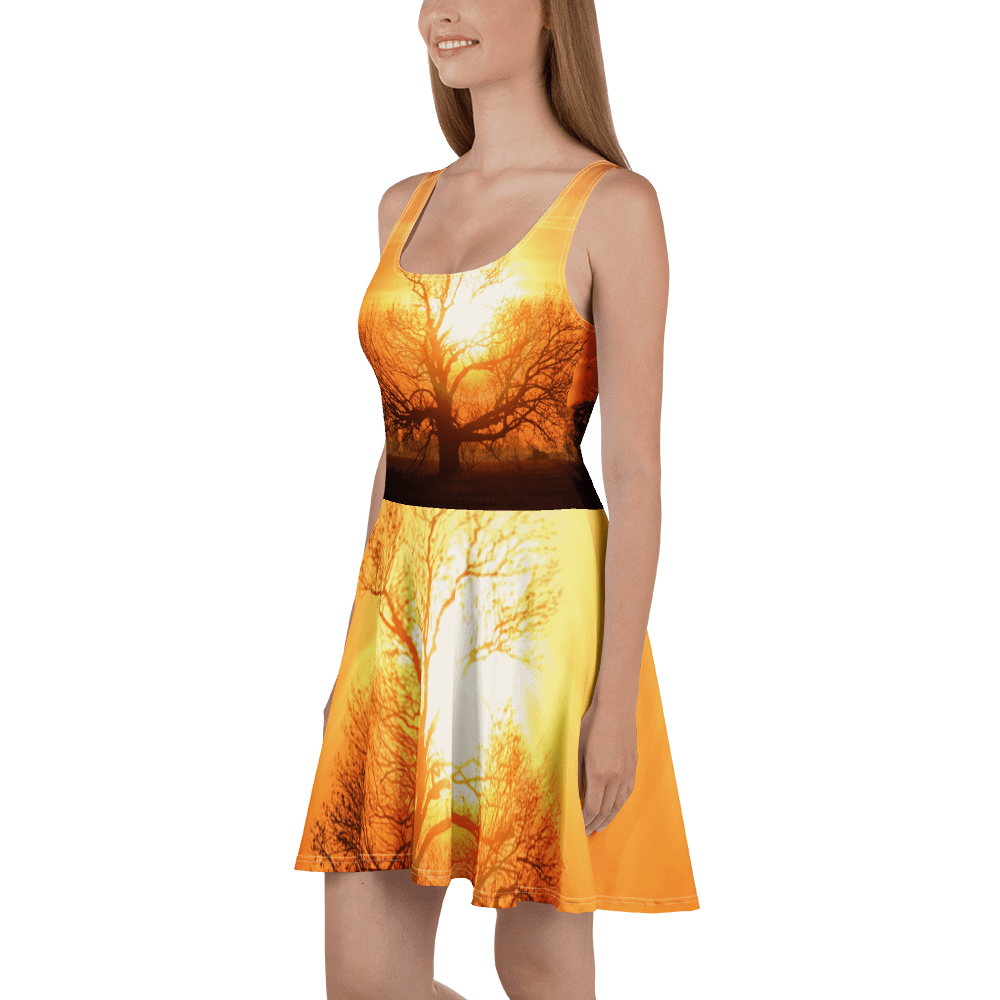 'Moods III' Skater Dress product image (1)