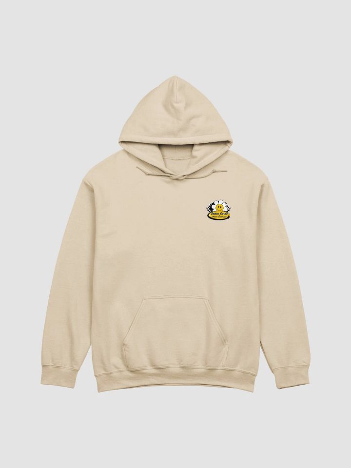NEVER COMFORTABLE HOODIE - V.17 product image (2)