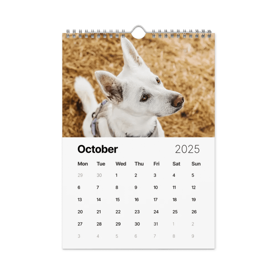 Eli's Favorite 2025 Calendar product image (12)