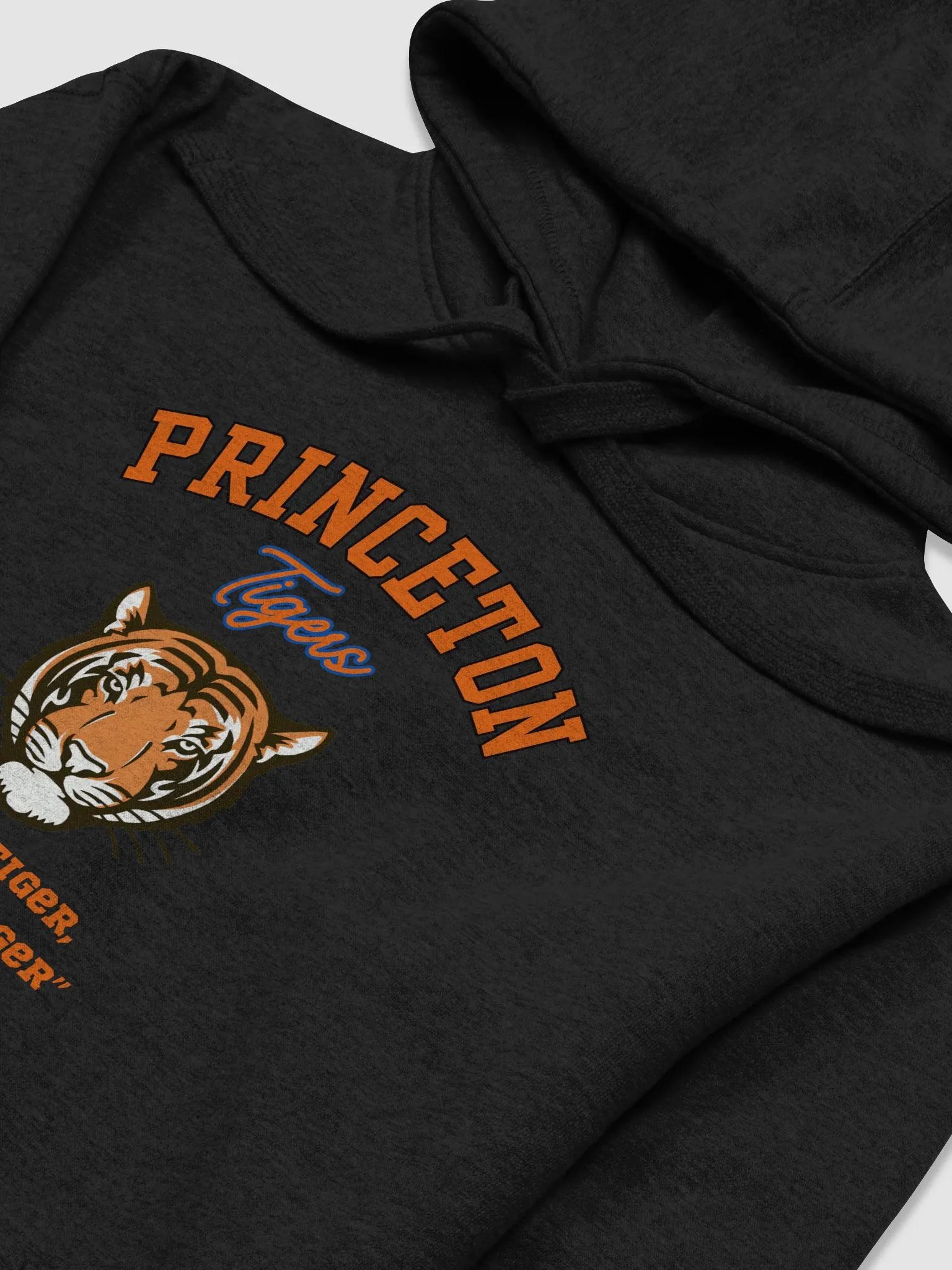 Princeton University Hoodie product image (3)