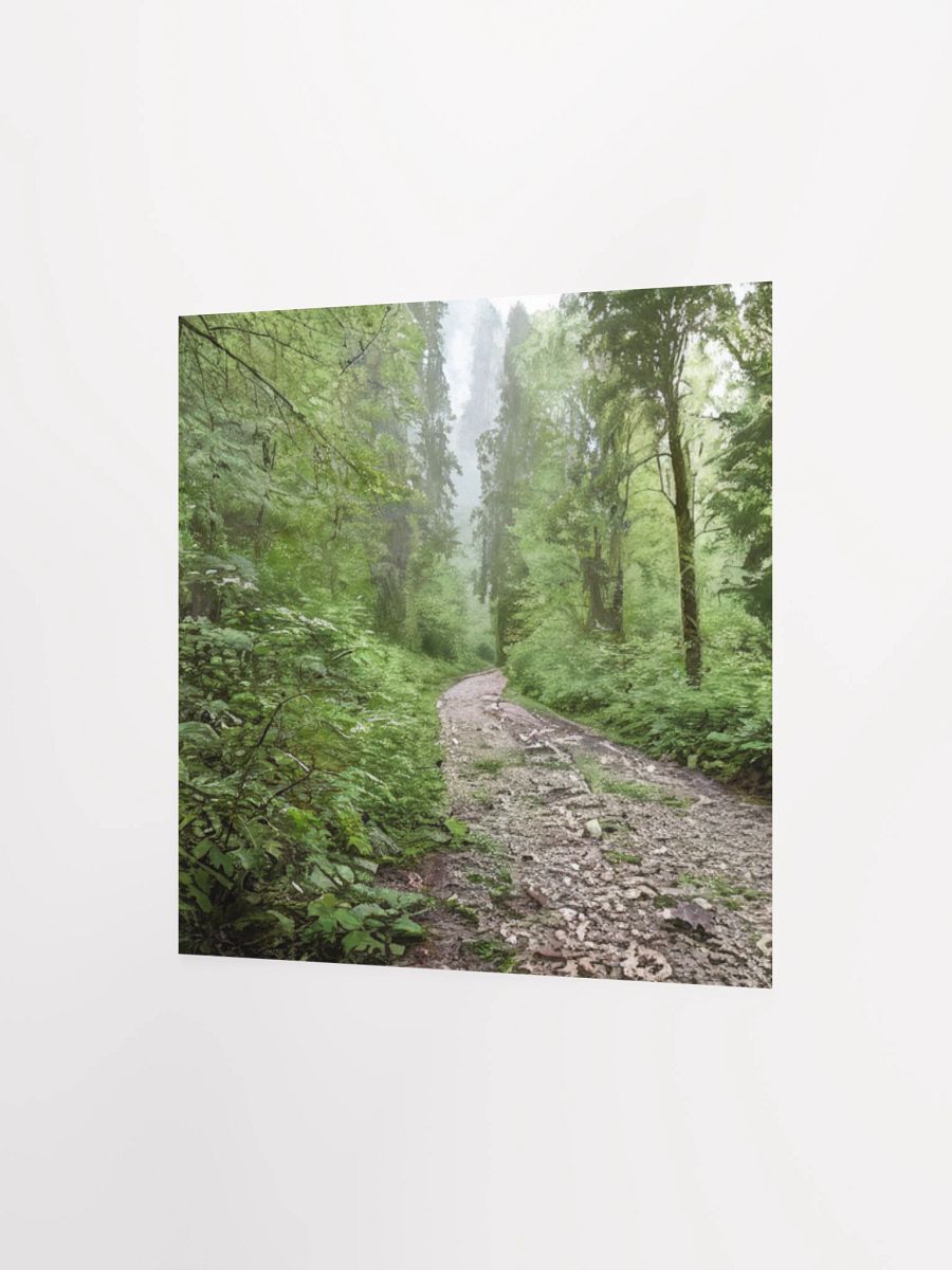 Enchanted Forest Path Poster product image (9)