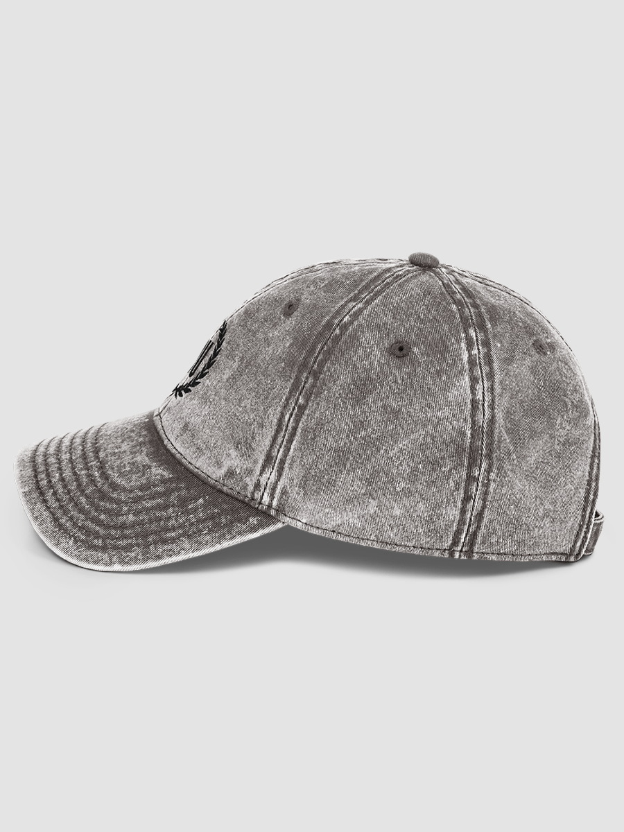 I.O.U™ Dad Hat product image (11)