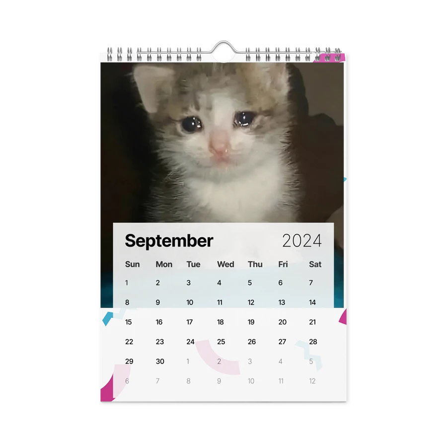 Wall Calendar (2024): Meme Cats product image (18)