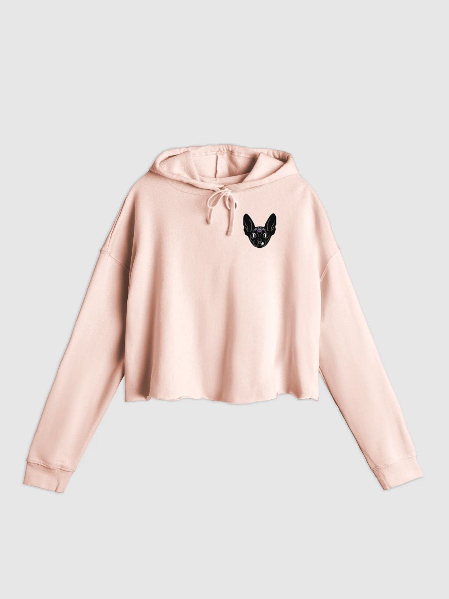 LUCIEN graphic crop hoodie product image (1)