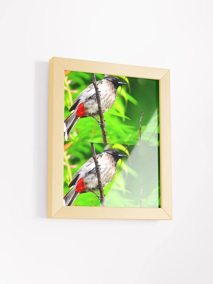 IUCAA Birds Photos product image (6)
