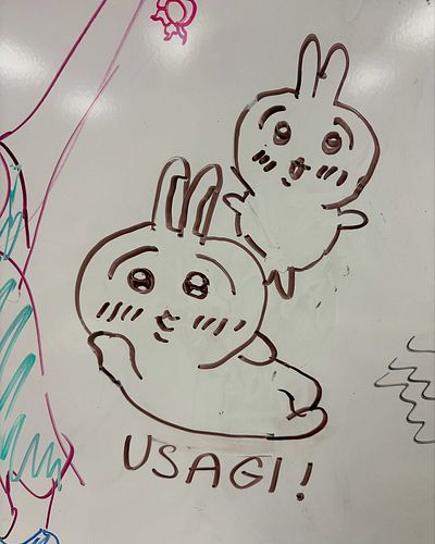 I drew my goat #usagi from #chiikawa 🤑🤑