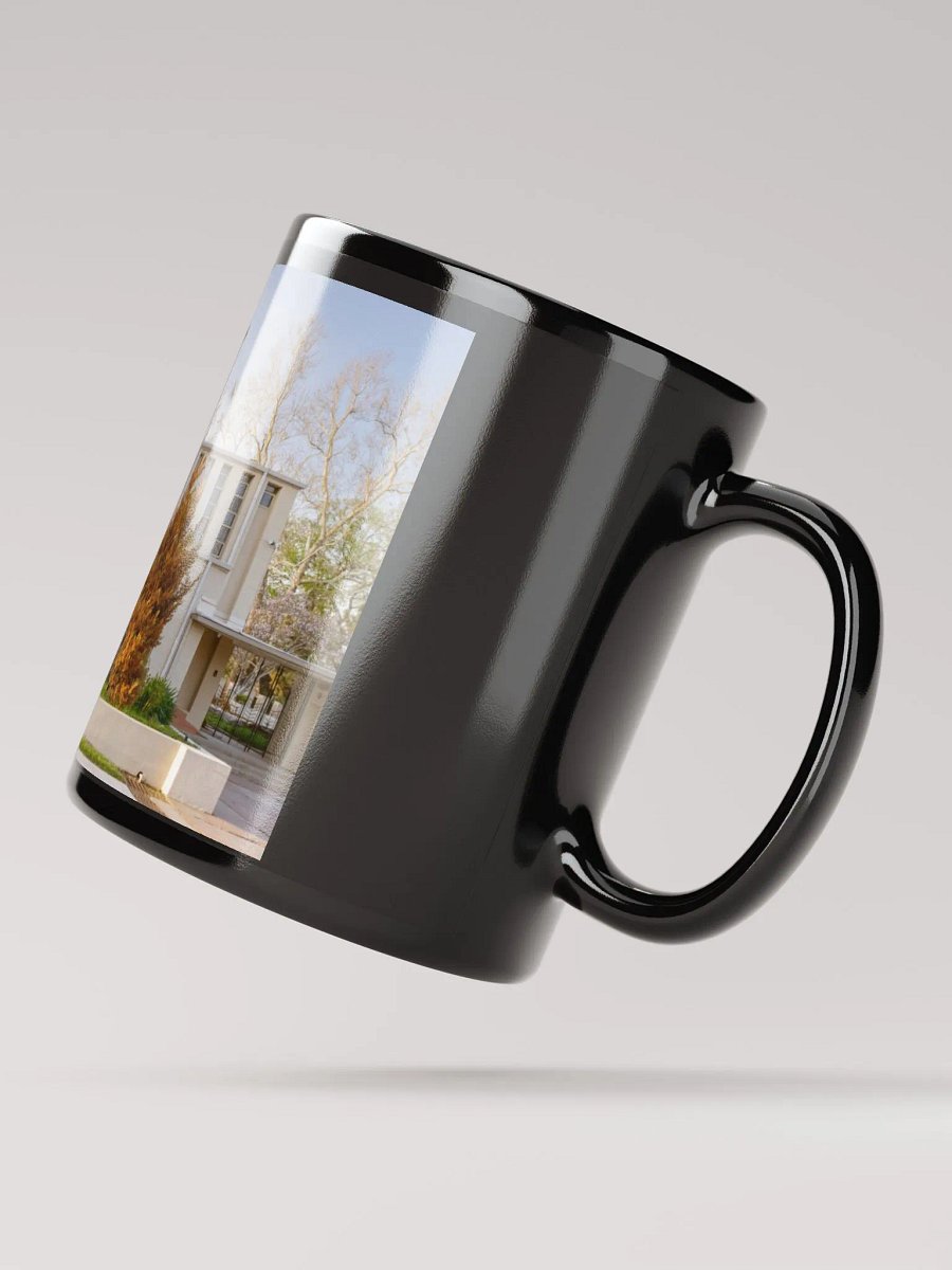 RICHARD LLOYD JONES HOUSE product image (2)