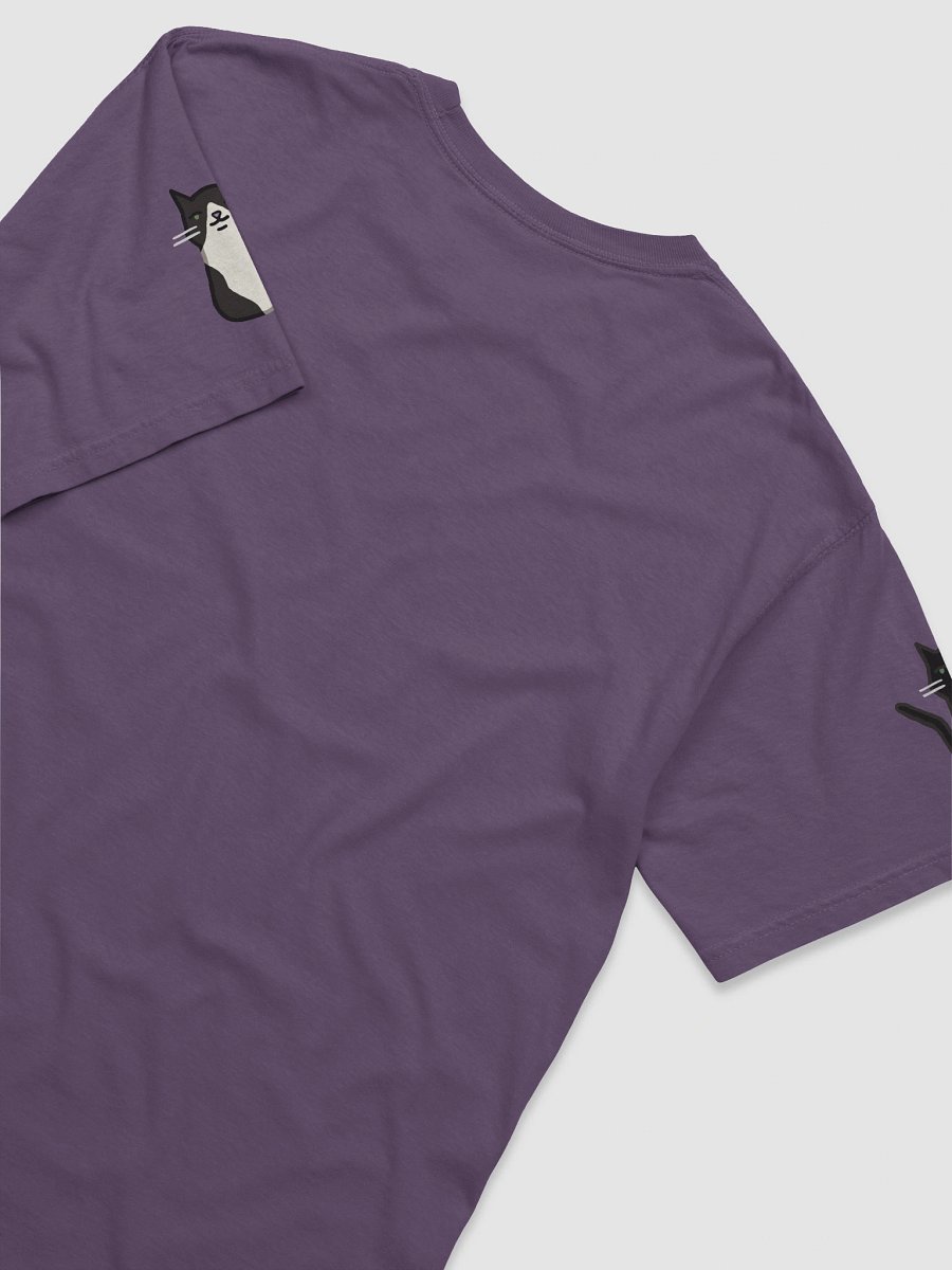 Special Delivery! T-Shirt product image (24)