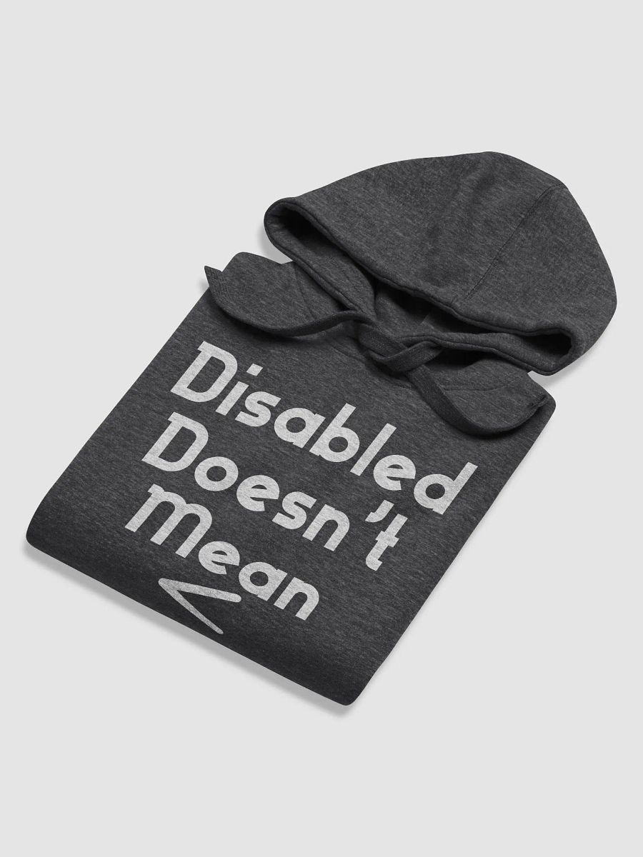Disabled Doesn't Mean < Hoodie product image (4)