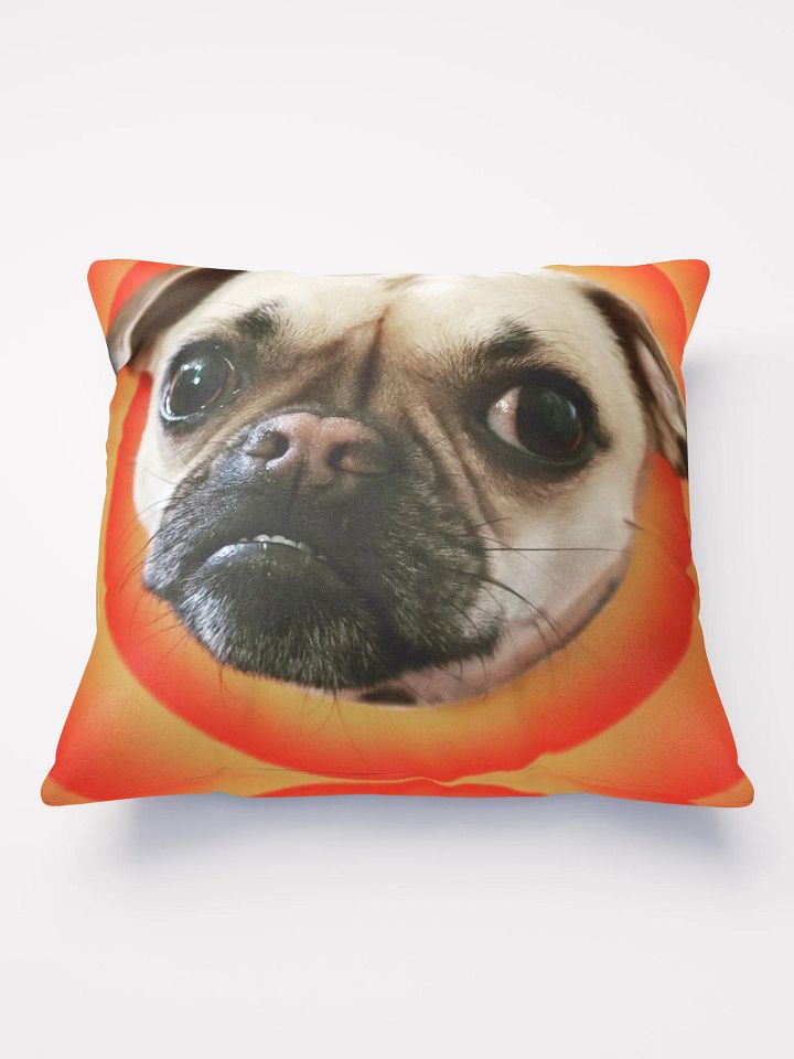 Crash Pillow product image (1)