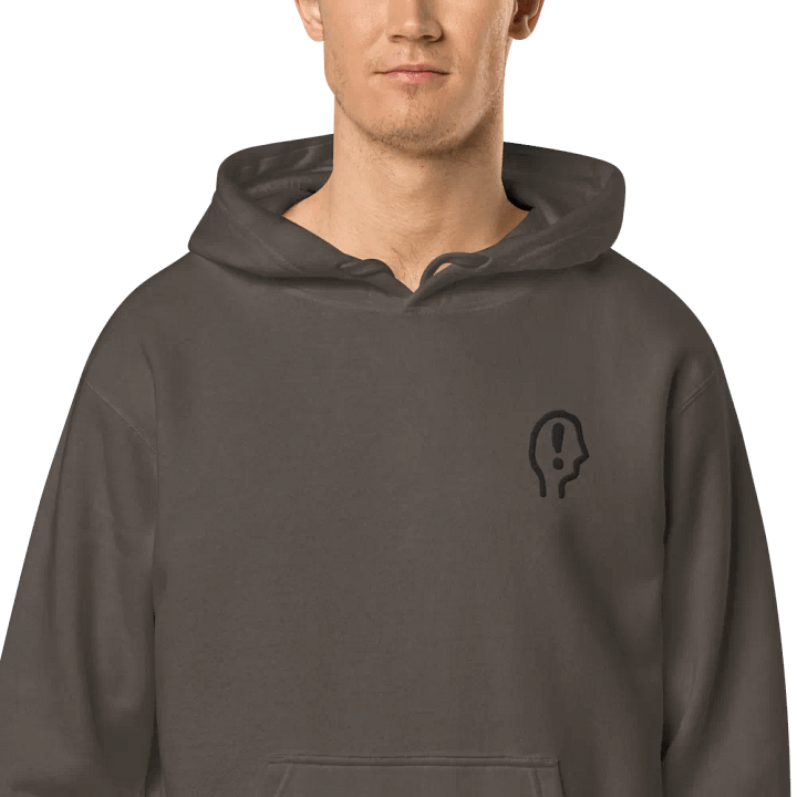 EXCLAIMING MENTALLY (black) embroidered pigment hoodie product image (1)