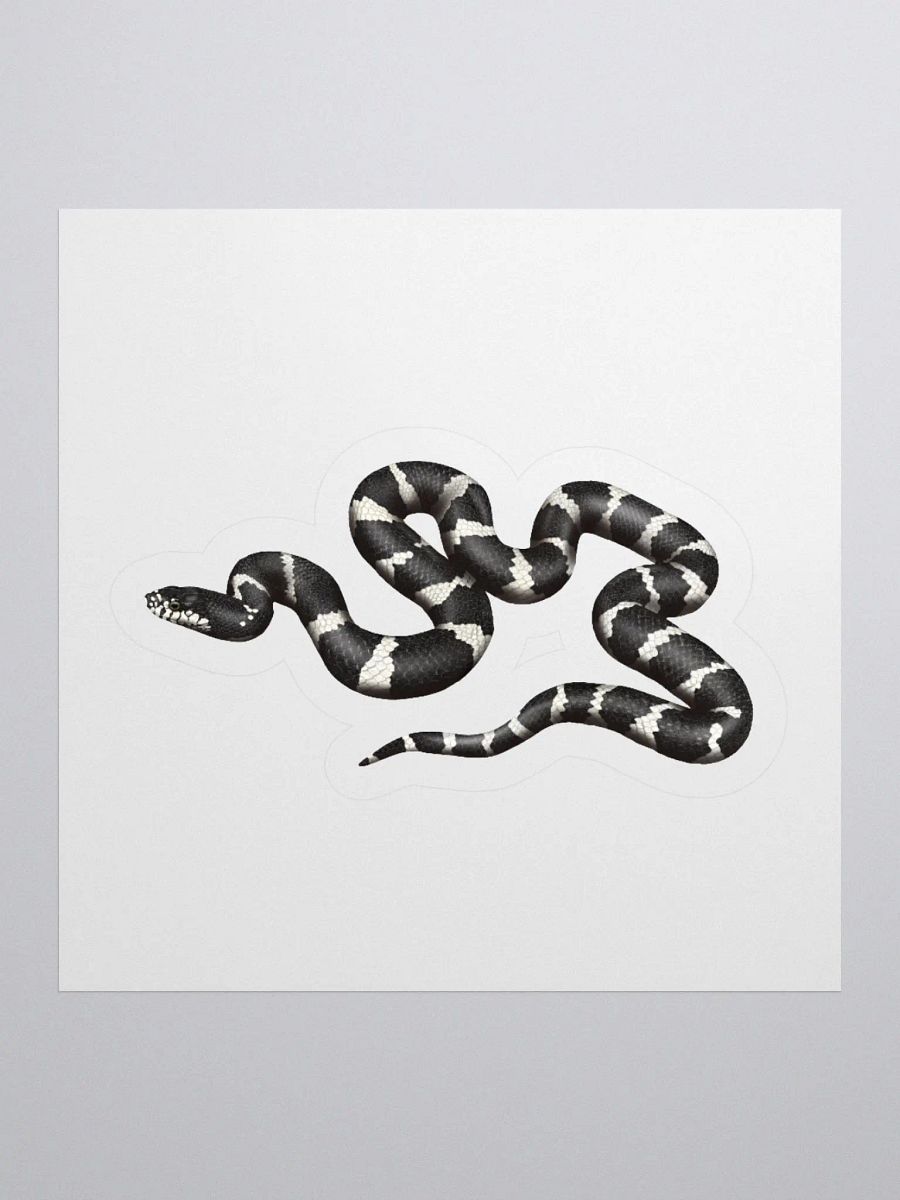 Die-Cut Sticker – California Kingsnake product image (1)