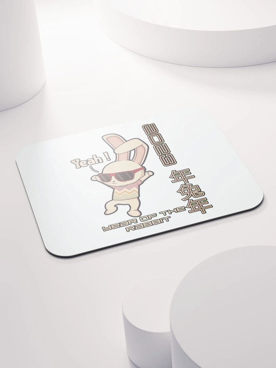 2023 YEAR OF THE RABBIT product image (5)