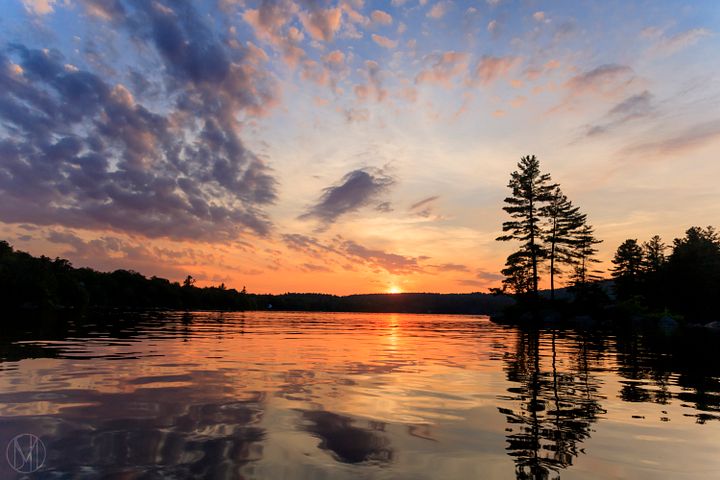 Three Tree Sunset Print product image (1)