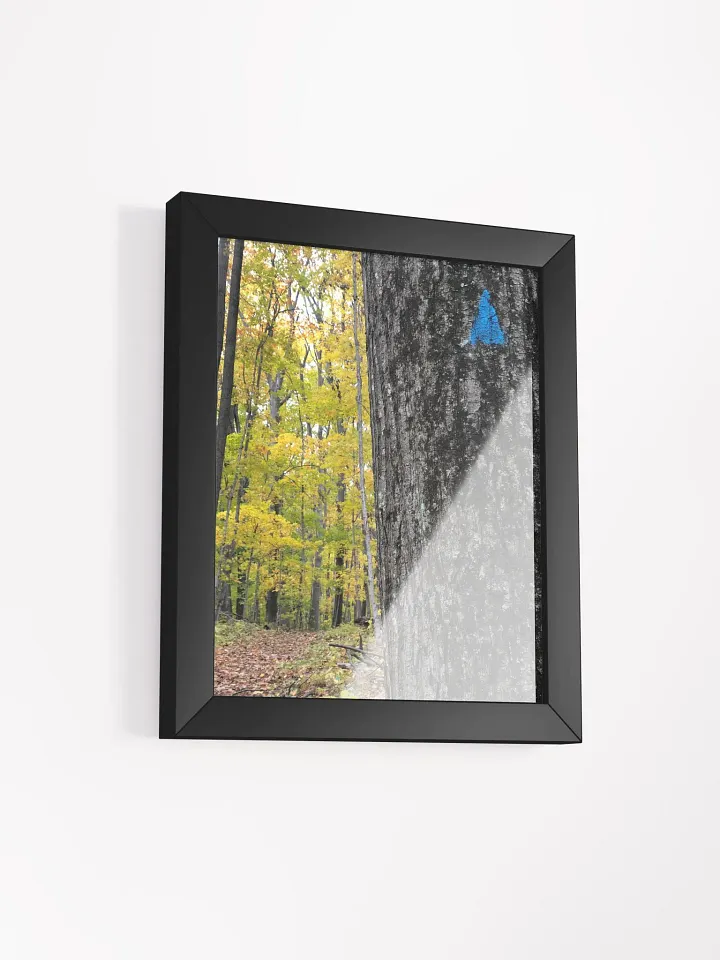 Up Ahead Fall Forest High Quality Matte Poster product image (2)
