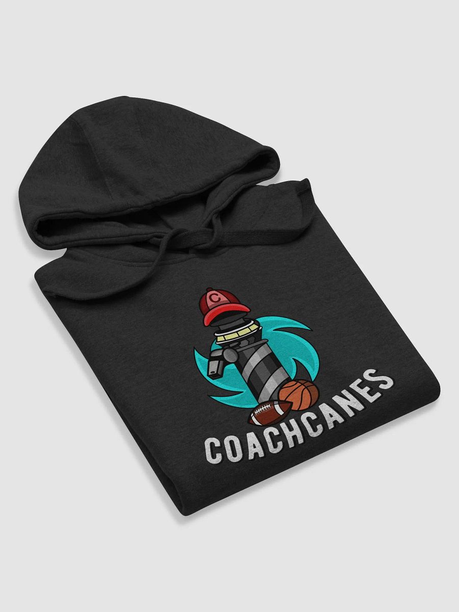 Logo V1 Hoodie product image (46)