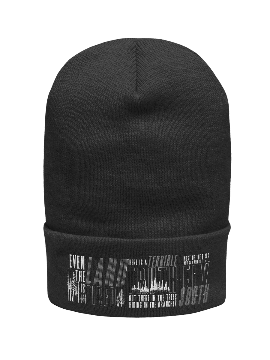 That's February For You Embroidered Beanie product image (1)