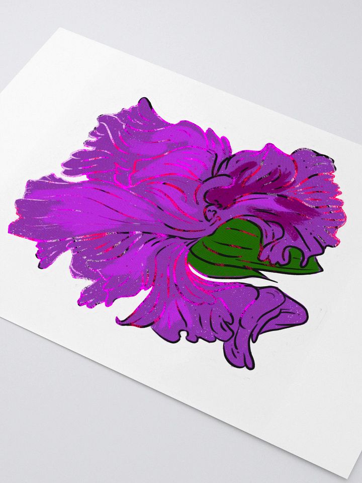 Iris Lilly product image (2)