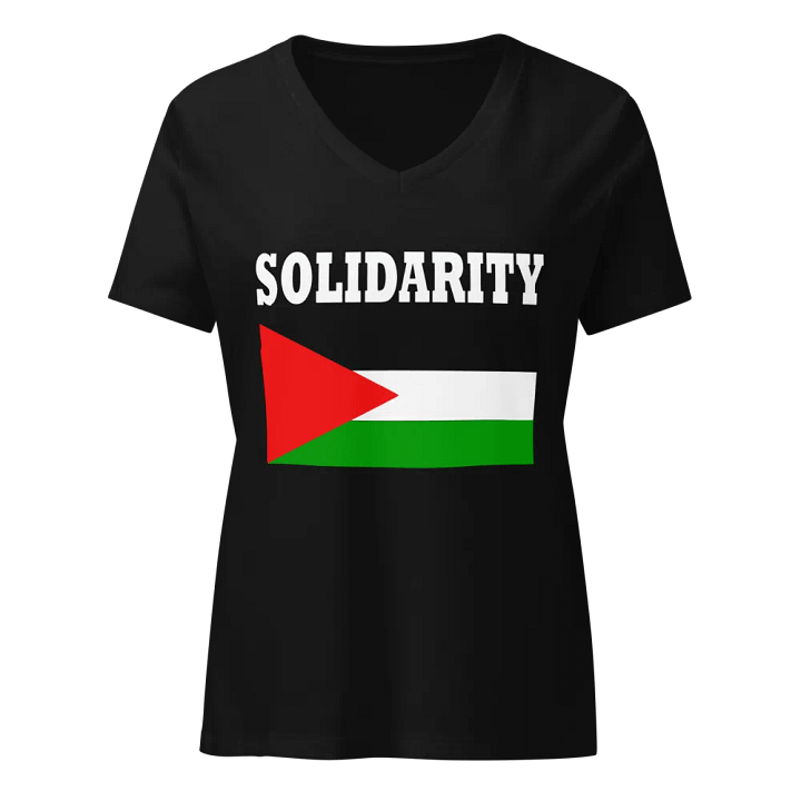 Solidarity Flag Fitted V-Neck T-Shirt product image (1)