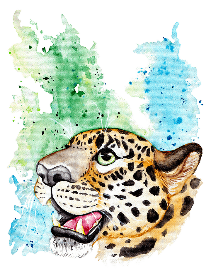Amur Leopard - Sticker product image (1)