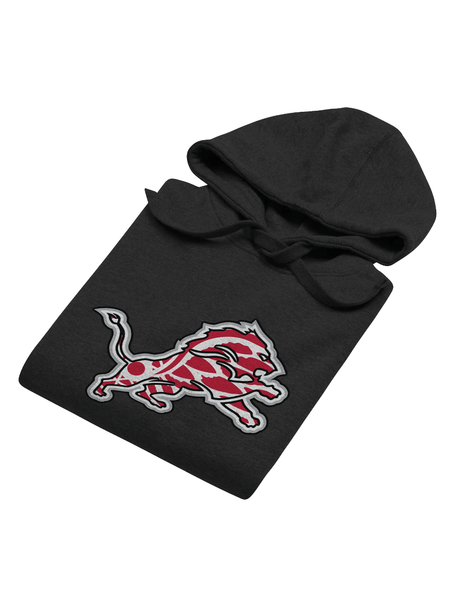 Winged Lion Hoodie product image (4)