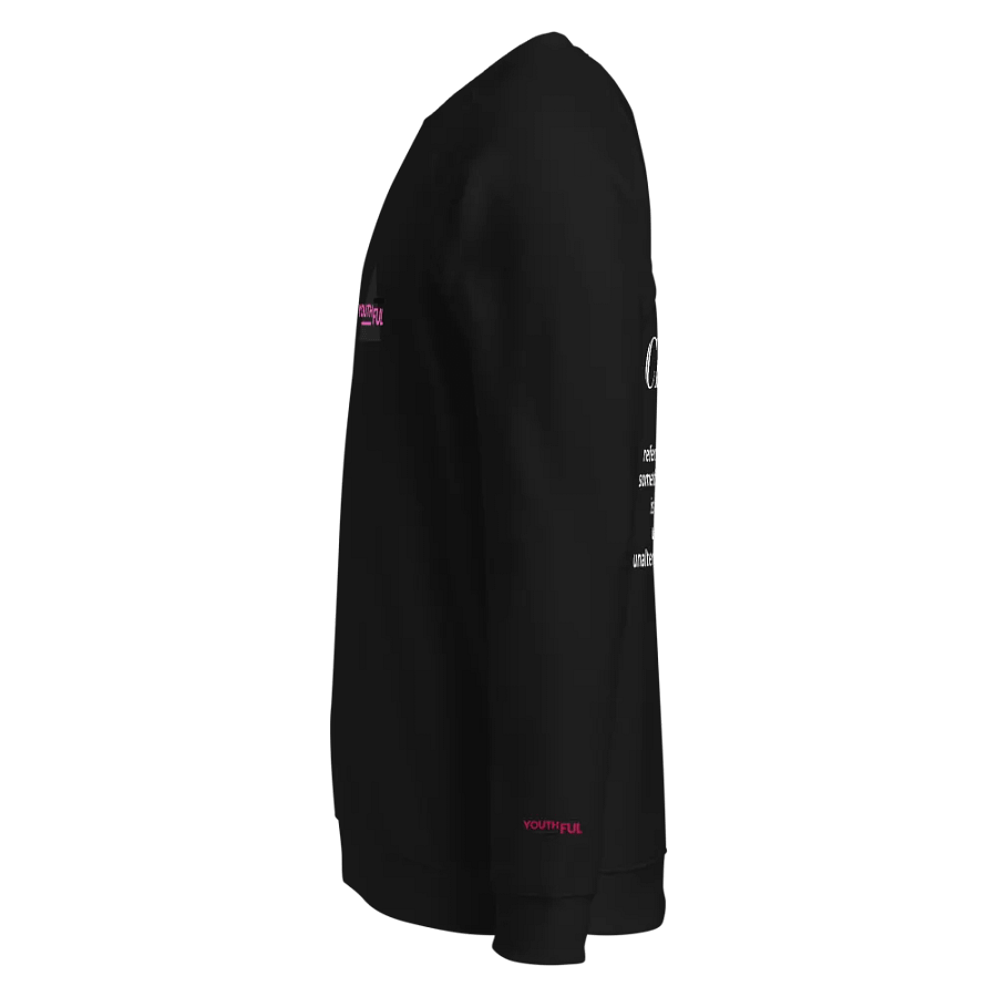 PURE CREATION SWEATSHIRT product image (5)
